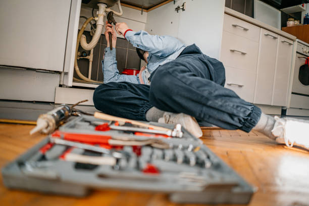 Best Gas Line Repair  in Savanna, IL