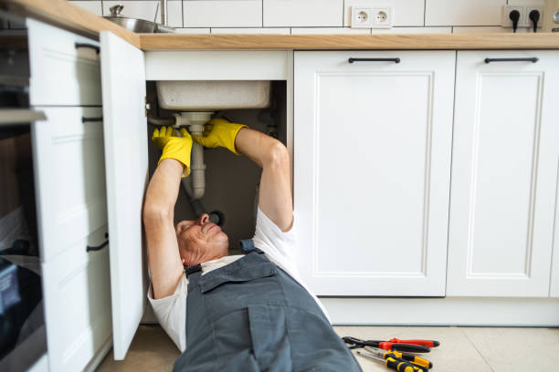 Best Boilers & Radiators  in Savanna, IL